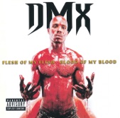 DMX - Coming From (feat. Mary J. Blige)