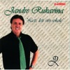 Jandre Rukavina - Voljela si nočnu pticu
