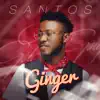 Stream & download Ginger - Single