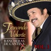 Rancheras de Cantina (Vol. 3)