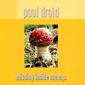 Missing Inside Me (Extension Mix) artwork