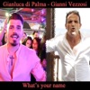What's Your Name (feat. Gianni Vezzosi) - Single