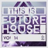 This Is Future House, Vol. 14