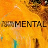 Instrumental Experimental