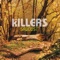 Killers - Shadowplay