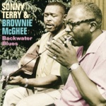 Brownie McGhee & Sonny Terry - One Scotch, One Bourbon, One Beer