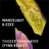 Stream & download Thicker Than Water (Fynn Remix) - Single