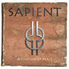 Sapient - Steven Chesne