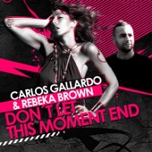 Don't Let This Moment End (feat. Rebeka Brown) artwork