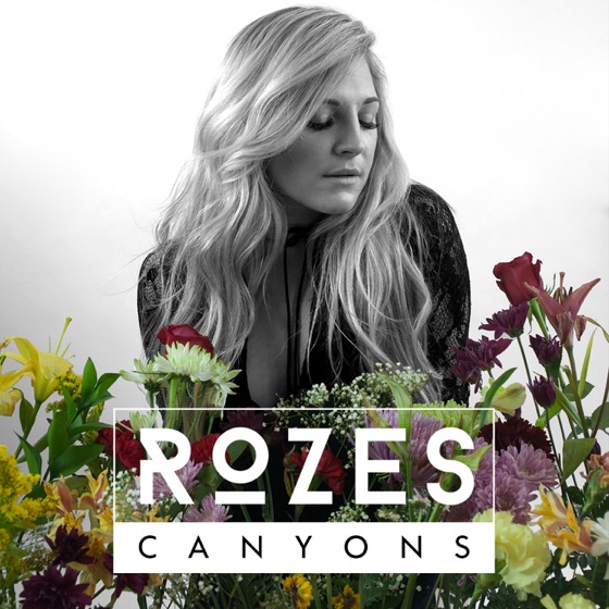 Cover artwork for Canyons