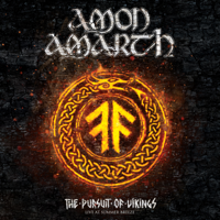 Amon Amarth - The Pursuit of Vikings: Live at Summer Breeze artwork