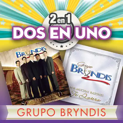 2En1 - Grupo Bryndis