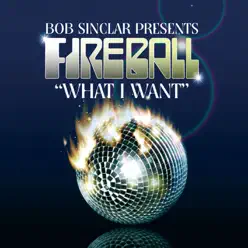 What I Want - Single - Bob Sinclar