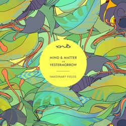 Yestermorrow - Imaginary Fields