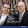 Vincent Lauzer - Sonata in A Minor, Op. 37 No. 5: I. Vivace