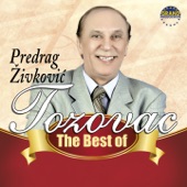 The Best Of Predrag Živković Tozovac artwork