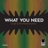 What You Need artwork