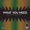 What You Need (Rampus Remix) - Eaze & Michelle Rivera lyrics