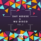 Say House & Nu Disco, Vol. 2 artwork