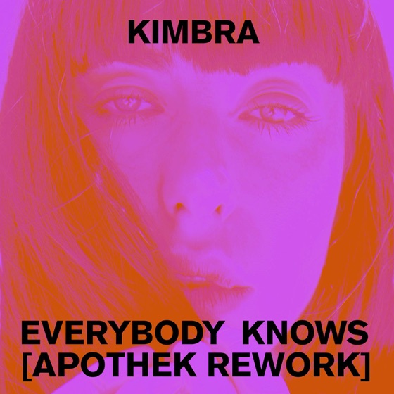 Cover artwork for Everybody Knows (Apothek Rework)