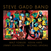 Steve Gadd Band (feat. Walt Fowler, Kevin Hays, Jimmy Johnson & Michael Landau) - Steve Gadd Band