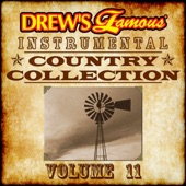 Drew's Famous Instrumental Country Collection, Vol. 11 artwork