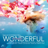 Wonderful (The Remixes) artwork