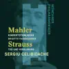 Mahler: Kindertotenlieder - Strauss: Tod und Verklärung album lyrics, reviews, download