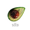 The Seed