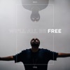 We'll All Be Free (feat. Gungor) - Single