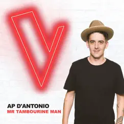 Mr Tambourine Man (The Voice Australia 2018 Performance / Live) Song Lyrics