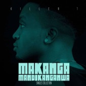Makanga Mandikanganwa (Singles Collection) artwork