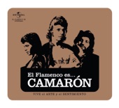 Te Lo Dice Camarón (Rumbas) artwork