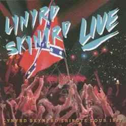 Lynyrd Skynyrd Live - Southern By the Grace of God - Lynyrd Skynyrd