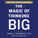 David Schwartz - The Magic of Thinking Big (Unabridged)