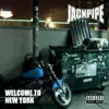 Welcome to New York album lyrics, reviews, download