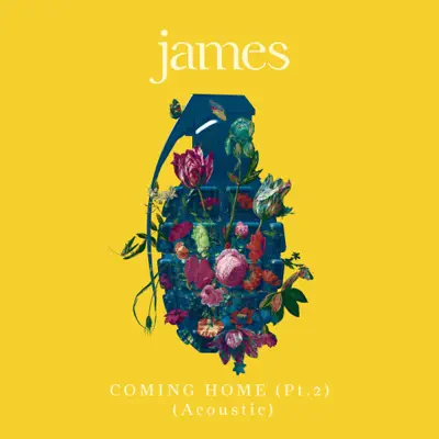 Coming Home (Pt. 2) [Acoustic] - Single - James