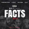 Facts (Remix) [feat. DJ Khaled, Busta Rhymes & Fat Joe] - Single album lyrics, reviews, download
