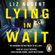 Liz Nugent - Lying in Wait