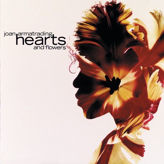 Cover artwork for Promise Land