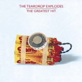 The Teardrop Explodes - Christ Versus Warhol