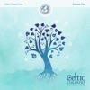 Celtic Colours Live, Vol. 5