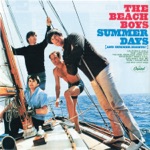 Summer Means New Love by The Beach Boys