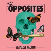 Slapeloze Nachten - EP artwork