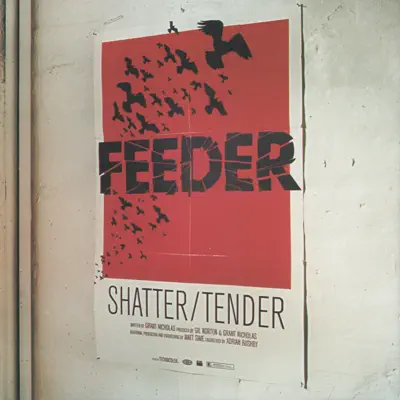 Shatter - Single - Feeder