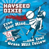 Hayseed Dixie - So Quickly We Forget