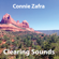 Clearing Sounds - Connie Zafra