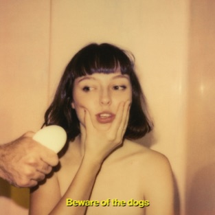 Stella Donnelly - Beware of the Dogs (2019) LEAK ALBUM