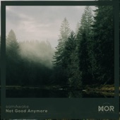 Not Good Anymore artwork