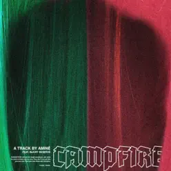 Campfire (feat. Injury Reserve) - Single - Amine